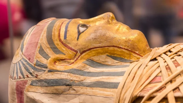 egyptian-mummy-head-close-up.webp.webp