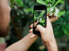 Esta é uma maneira mais inteligente de armazenar seus documentos sem taxas de assinatura infinitas