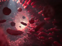 Um novo ‘super antibiótico’ interrompe uma infecção intestinal mortal sem destruir o microbioma