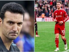 Alerta de escolha: Quem substituirá Alexis Mac Allister?