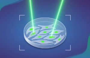 A IA está finalmente testando uma teoria antiga sobre como o câncer começa