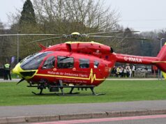 Mulher foi levada ao hospital de ambulância depois que uma árvore caiu sobre um carro, causando fechamento de estradas e atraso no trânsito