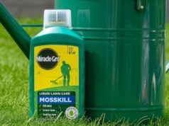 Solução para matar musgo reduzida para £ 8 ajuda a manter a grama ‘mais verde e saudável’ antes da primavera