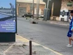 O motociclista morreu após cortar o pescoço com a corda que os Morgoros haviam deixado para o carnaval.