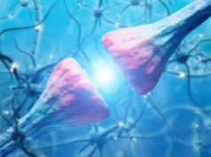 Cientistas descobriram uma proteína cerebral que causa recaída de cocaína