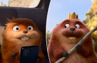 Quem pode discutir com animais falantes fofos?