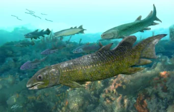 Fósseis de peixes de 400 milhões de anos mostram como a vida se originou na terra