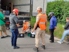 Termas de Río Hondo: A província apreendeu mais de 30 quilos de folhas de coca