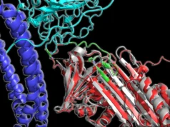 Um estranho padrão de proteína no sangue pode revelar a doença de Alzheimer