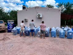 Um golpe no tráfico de drogas: Três caminhões e mais de 1.300 quilos de folhas de coca foram roubados em um posto de controle no muro norte.