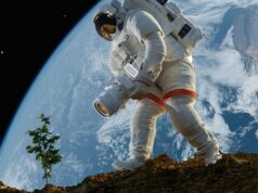 Fazendo homus na lua? Cientistas cultivaram grão de bico em terra lunar simulada