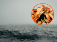 Marinheiro de Todd Meadows revela como chegou a extremos