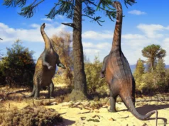Alguns dinossauros podem ter se originado como gigantes antes de crescerem demais