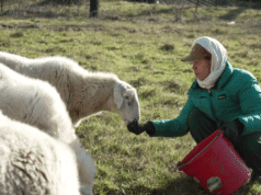 A BOLT educa e capacita fazendeiros e fazendeiros negros.