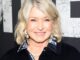 O protetor solar Alastin de Martha Stewart também funciona como tez