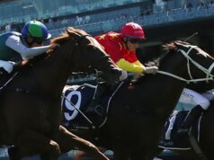 O ‘bad boy’ de Chris Waller, Campione D’Italia pronto para reservar no Grupo 1 Sires