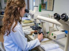 Sabes: “O pior resíduo de agrotóxico nas minas do sul de Raetici” – Notícias