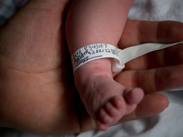 2012-12-12T120000Z_840743340_GM1E8CD0EVA01_RTRMADP_3_USA-1775757524.jpg