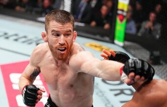 Classificação do peso galo para a revanche na International Fight Week