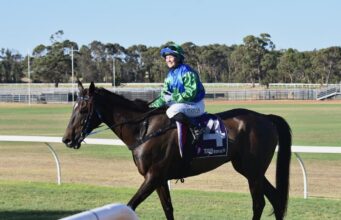 Grandes esperanças para Fatal and Fast na Albany Cup, enquanto o técnico Alan Smith busca realizar o ‘sonho de toda a vida’