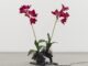 Escultura antropomórfica feita de flores artificiais e massageador de pescoço