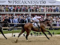 Relatório: Data tradicional do Preakness Stakes com probabilidade de mudança.