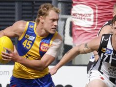 Fan McRae: A polícia do meio-campista do West Coast Eagles proibiu o WAFL por dois jogos, Andrew McQualter ‘não está feliz’ com a decisão