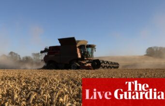 Preços do trigo caminham para o maior salto em dois meses, enquanto a guerra no Irã ameaça aumentar a segurança alimentar – negócios ao vivo | Negócios