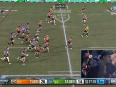 Um ninho no lado oposto segura o ombro