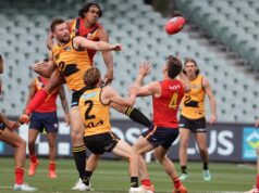 O Sudoeste está bem representado com seis jogadores nomeados para a seleção estadual da WAFL
