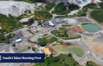 Perda de floresta tropical diminui após ano recorde, mas ainda ’11 campos de futebol por minuto’