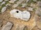 Rochas e poços de aterro cheios de cascalho e carvão estragado – o estado da floresta de Arenberg em meio ao roubo de cascalho à frente. Paris-Roubaix
