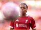 Rio Ferdinand comemora Rio Ngumoha após gol do Liverpool