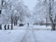 Aviso de neve forte – 16 polegadas à frente: ‘Perigoso’ para Colorado, Novo México