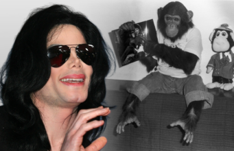 Onde está o Chimp Bubble de Michael Jackson agora?