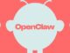 A Microsoft está testando um bot de IA semelhante ao OpenClaw para 365 Copilot