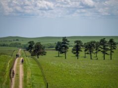Unbound Gravel 200 LIVE: Uma programação acumulada e uma premiação crescente na principal corrida de gravel dos EUA.
