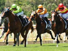 Perspectiva de gênero e conselhos para Wyong quinta-feira