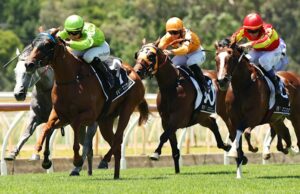 Perspectiva de gênero e conselhos para Wyong quinta-feira