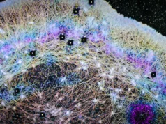 Cientistas descobrem “ventos” ocultos dentro das células que podem explicar como o câncer se espalha