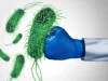 Cientistas descobriram uma formulação para cuidados com a pele que destrói bactérias resistentes a medicamentos