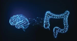Cientistas descobrem circuito oculto do intestino-cérebro que desencadeia o desejo por proteínas