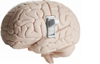 Cientistas descobriram um interruptor cerebral oculto que diz para você parar de comer