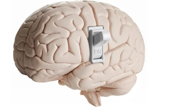 brain-switch.webp.webp