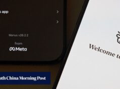 O bloqueio familiar da China é um aviso para outras empresas de IA com ambições globais?