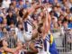 Ele é um Unicórnio: Freo para soltar Jackson nos cachorros