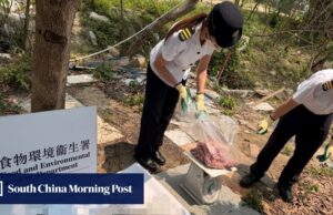 As autoridades de Hong Kong usam drones para ajudar a invadir o matadouro ilegal em Yuen Long.