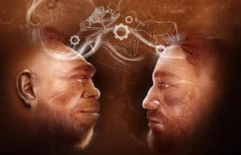 A descoberta de 110.000 anos reescreve a história humana: Neandertais e Homo Sapiens trabalharam juntos