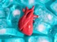 Cientistas descobrem como congelar órgãos para transplante sem quebrá-los