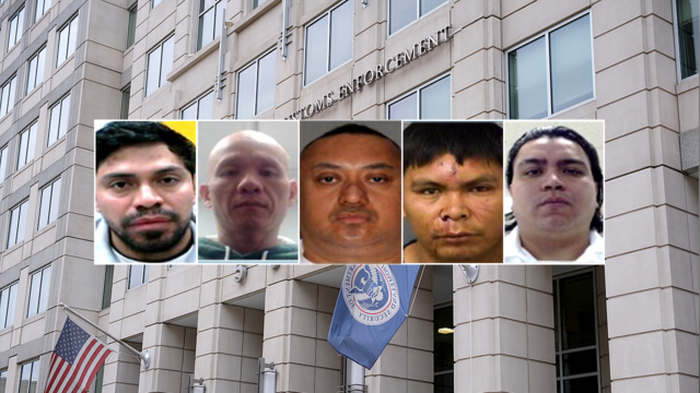 ice-immigrants-arrested-1-year-initiative.png